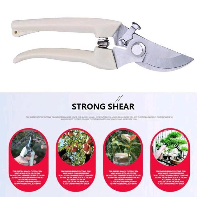 gunting dahan ranting pruning alat potong dahan ranting stek pruning