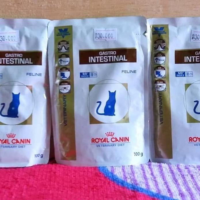 ROYAL CANIN GASTROINTESTINAL CAT WET 100 gr-RC GASTROINTESTINAL CAT