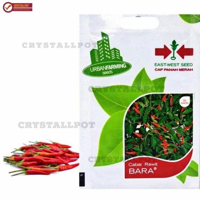 benih bibit cabai rawit bara cap panah merah - CABAI RAWIT BARA