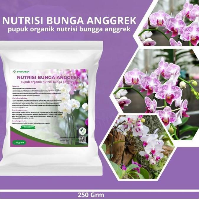 Pupuk Anggrek Booster Organik Pelebat Bunga Anggrek Terbaik Cepat