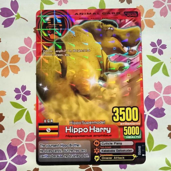 animal kaiser normal hippo harry evo 1