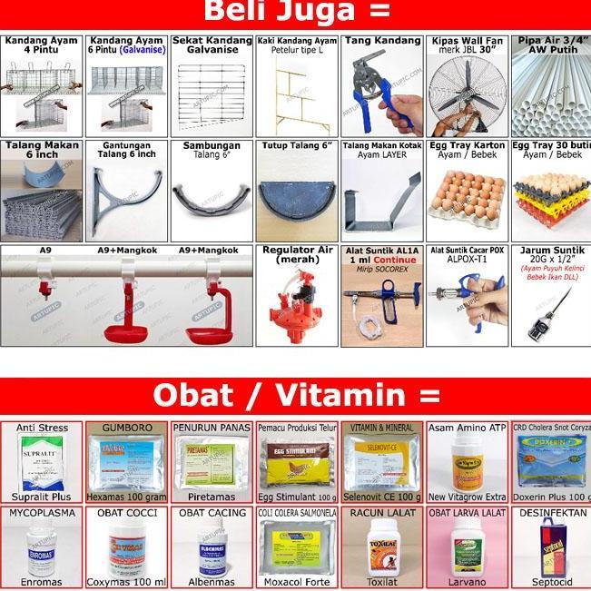 Ready Alas Lantai Kandang Baterai Ayam Petelur