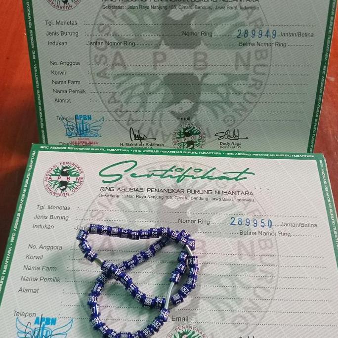 Ring APBN Terbaru Untuk Murai Batu Plus Sertifikat asli Yayasan 1 pcs