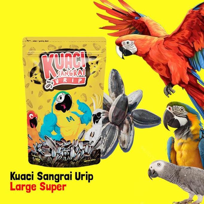 KUACI SANGRAI SUPER JUMBO UNTUK BURUNG KAKATUA MACAW AFGREY AMAZON