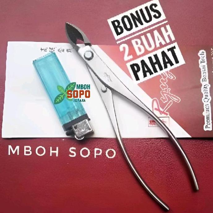 (PE) Alat Bonsai, Catok Ryuga Stenlis Kecil, Model Miring Lurus 18 cm, RS 22