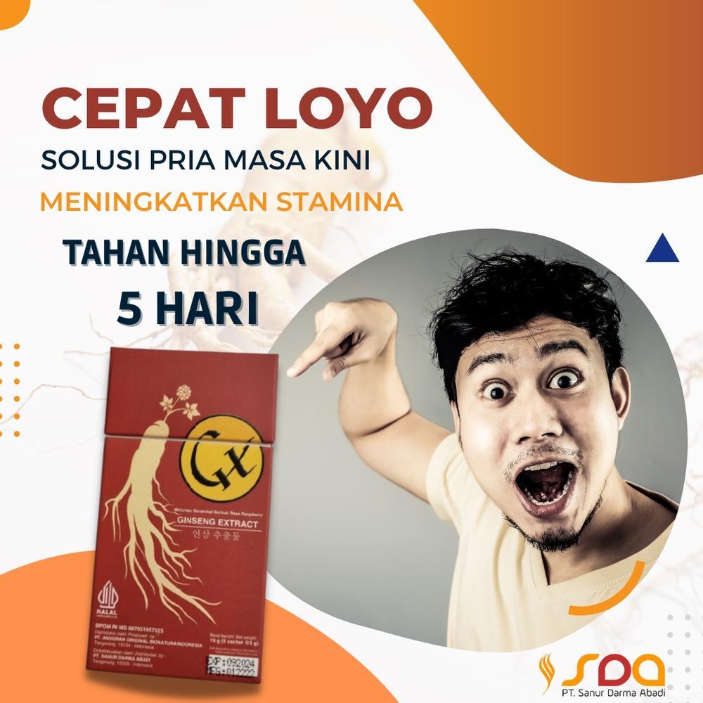 GX Ginseng Minuman Serbuk / Ekstrak Gingseng Korea Guarana Bpom Halal