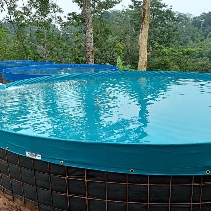 PAKET FULLSET KOLAM BIOFLOK ORCHID D5 TINGGI CUSTOM