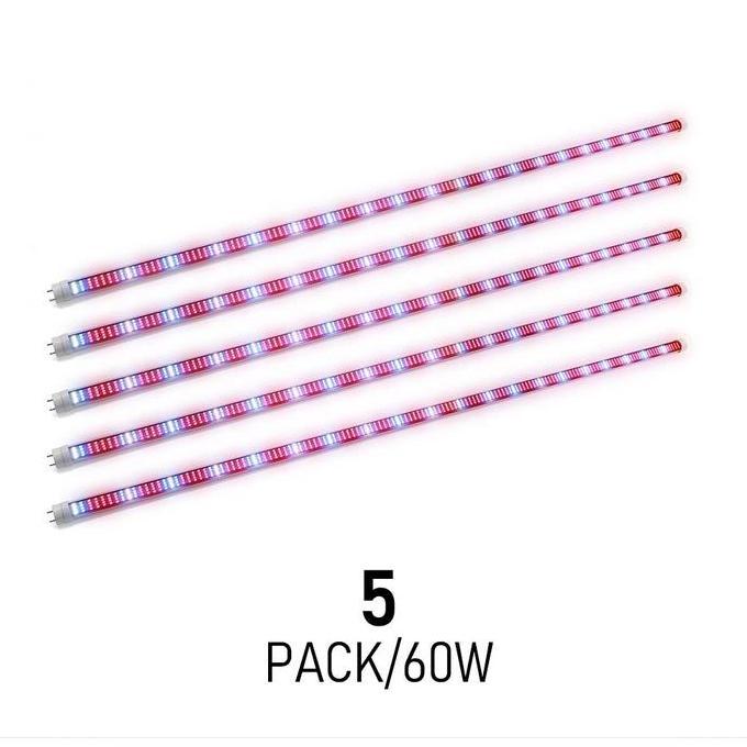 KEZOUKAKU- ZW0185 5Pcs/Set Lampu Tanaman Hidroponik 60W 120cm Grow Light T8 LED