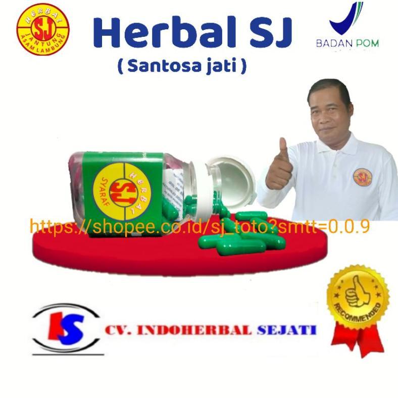Herbal SJ syaraf 10 kapsul