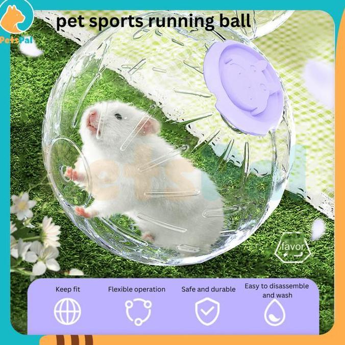 Bola Lari Roda Lari Hamster Transparan Lampu Menyala Hamster Toy Running Ball Light HARA
