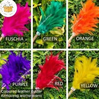 Kamoceng Kemoceng Bulu Ayam Warna Warni Tebal