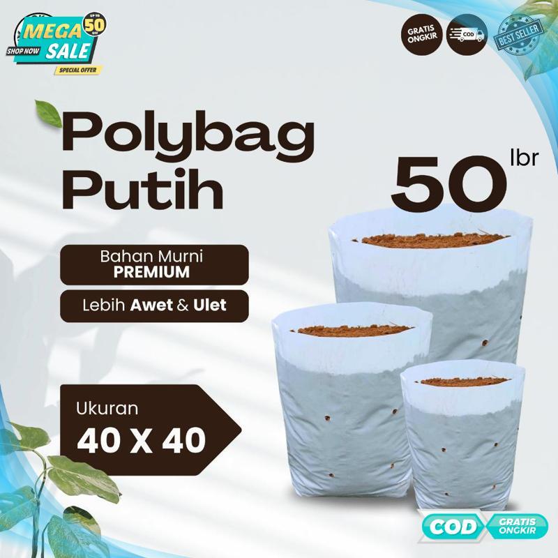 Termurah Polybag Putih 40 x 40 Isi 50 Lembar - Polybag Melon HARGA GROSIR - 2025 COD Termurah Terlar