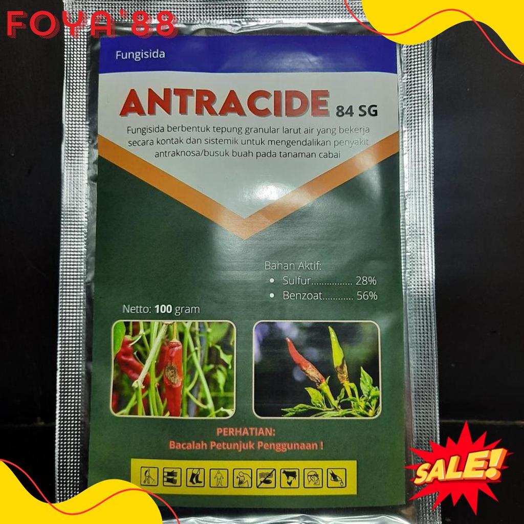 Diskon Kemerdekaan Antracide 84 Sg 100 Gram Fungisida Antraknosa / Patek / Cacar / Busuk Buah