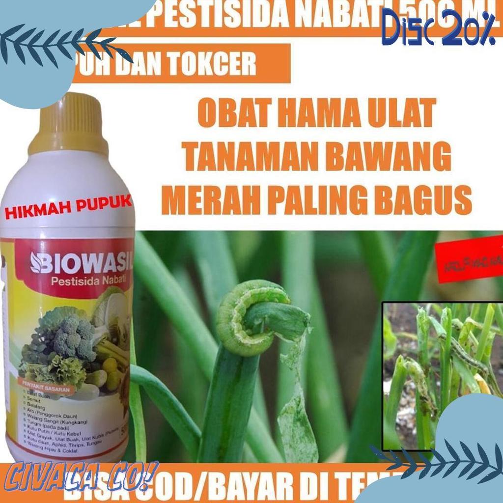 Cod (Cod) Biowasil 500 Ml Pestisida Hama Ulat Bawang Merah, Bawang Daun, Padi Obat Hama Ulat Sayuran