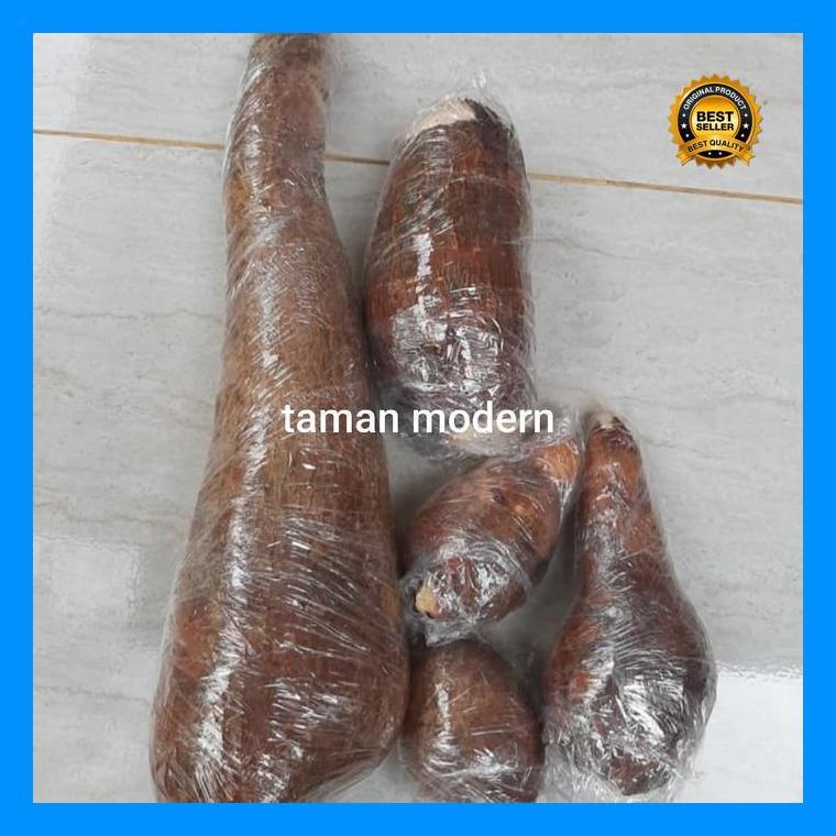 (Ready) Singkong Racun Ukuran 1 Kg-Buah Singkong Racun,Singkong Genderuwo, Bestseller