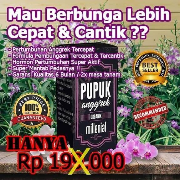 Terlaris Pupuk Anggrek Terbaik,Pupuk Anggrek Cepat Berbunga, Ajaib