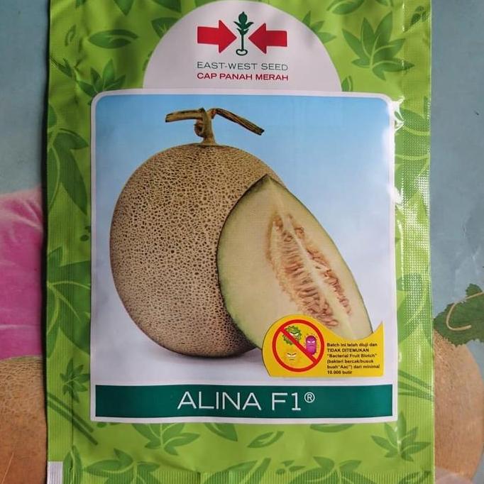 Terlaris Melon Tahan Virus Alina 500Bj