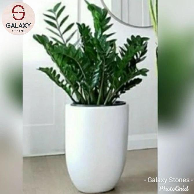 Terlaris Pot Teraso Putih