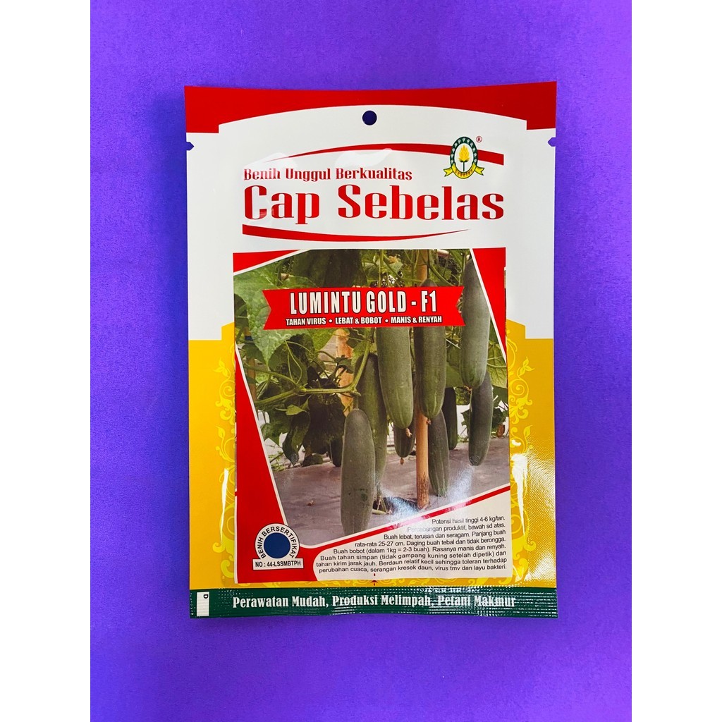 Benih Timun Ketimun Mentimun LUMINTU GOLD F1 20 gr dari Cap Sebelas