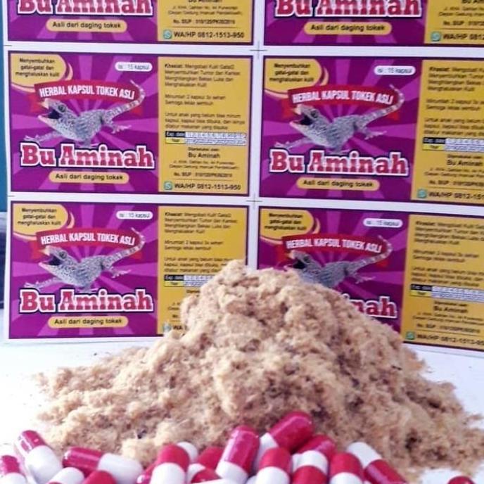 JR26 Kapsul Tokek ASLI "BU AMINAH" Mengobati Penyakit Dalam