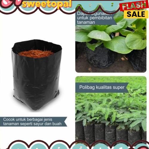 GROSIR Polybag Polibag Tanaman 30x30 cm Kemasan Berat 1Kg PG SBY