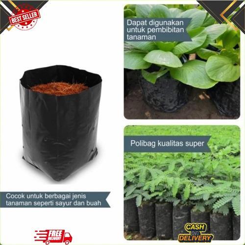 GROSIR Polybag Polibag Tanaman 30x30 cm Kemasan Berat 1Kg PG SBY