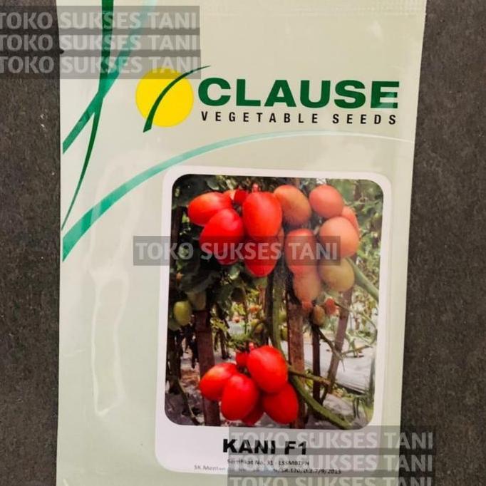 Terlaris Benih Tomat Kani F1 . Isi 5 Gr Dari Clause Indonesia