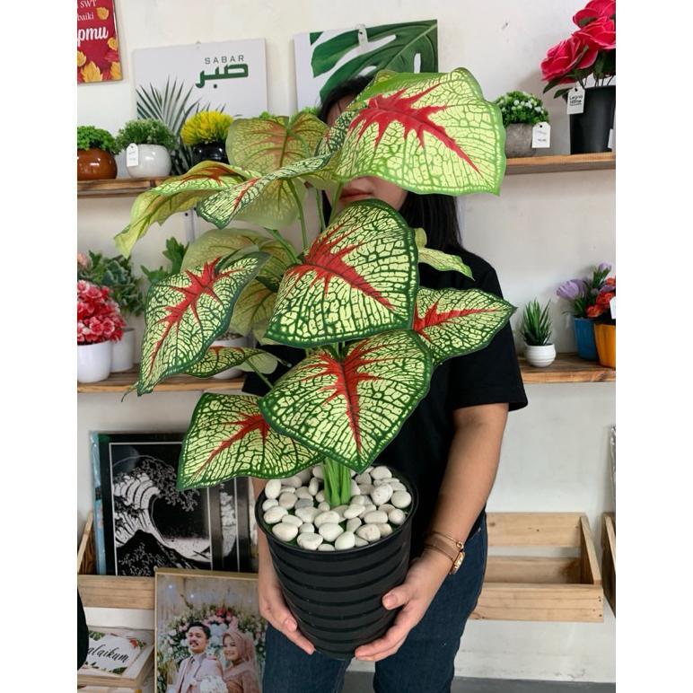 Dekorasi Tanaman Hias Besar Bunga Plastik Artificial Daun Monstera Keladi Aglonema