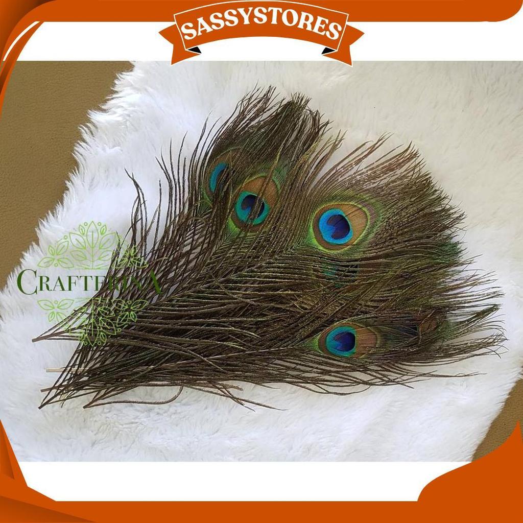 Replika Bulu Merak Sintetis Halus Imitasi / Kerajinan Replika Bulu Hewan Burung Merak C Promo
