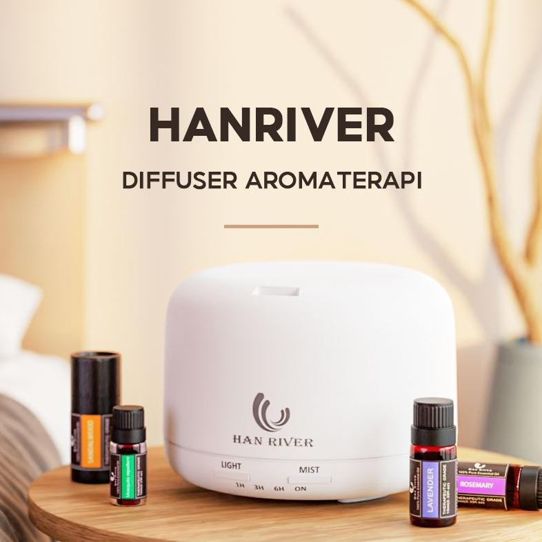 HAN RIVER Diffuser 14W Humidifier Diffuser Aromatherapy 500ML
