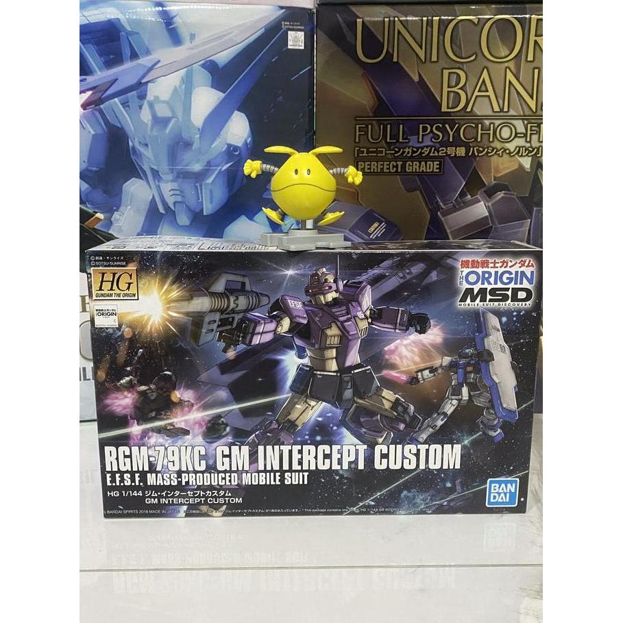 HG 1/144 GM Intercept Custom