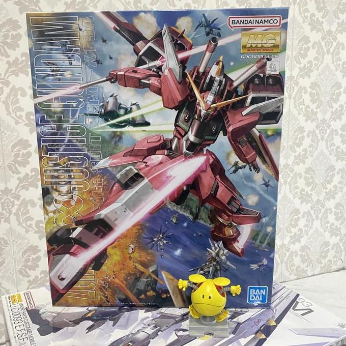 MG 1/100 Infinite Justice Gundam