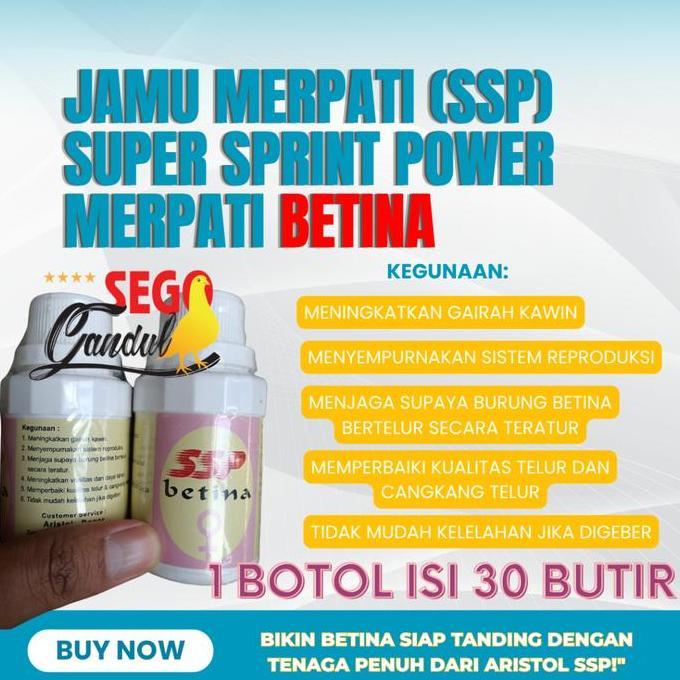 PROMO - Aristol Jamu Merpati Super Sprint Power (SSP) Merpati Betina 1 botol isi 30 Butir