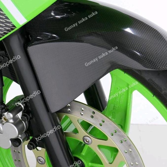 Spakbor Depan Carbon Keplar Tyga Ninja R SS RR ZX NEW RR Original Terlaris