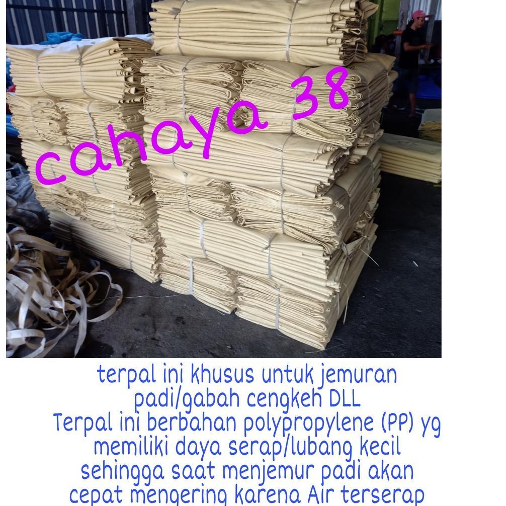 Terpal Hamparan 3x4 Meter Khusus Jemur Padi/Gabah