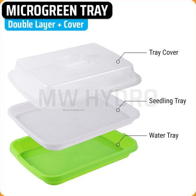 Microgreen Sprouting Tray with Cover - Tray Semai Microgreen dengan Tutup