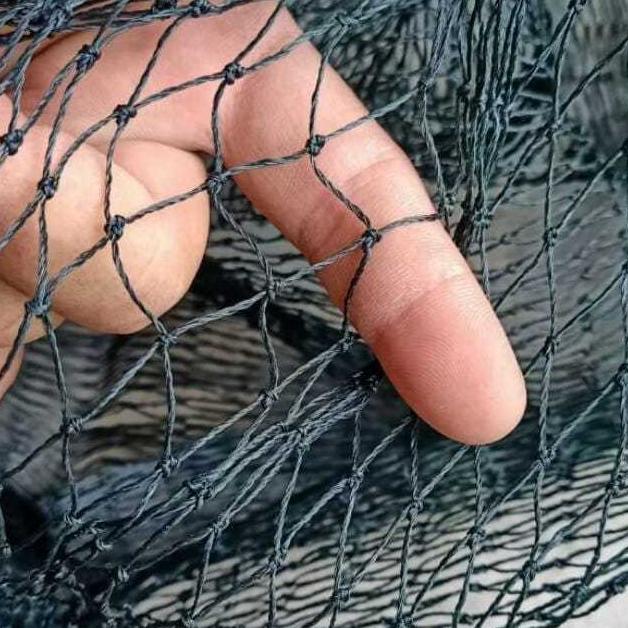 Bisa Cod Cod 1,5 Meter X 10 Meter Lubang 1,5 X 1,5Cm Jaring Pagar Ayam Atau Bebek Hrg 1 Pcs ><