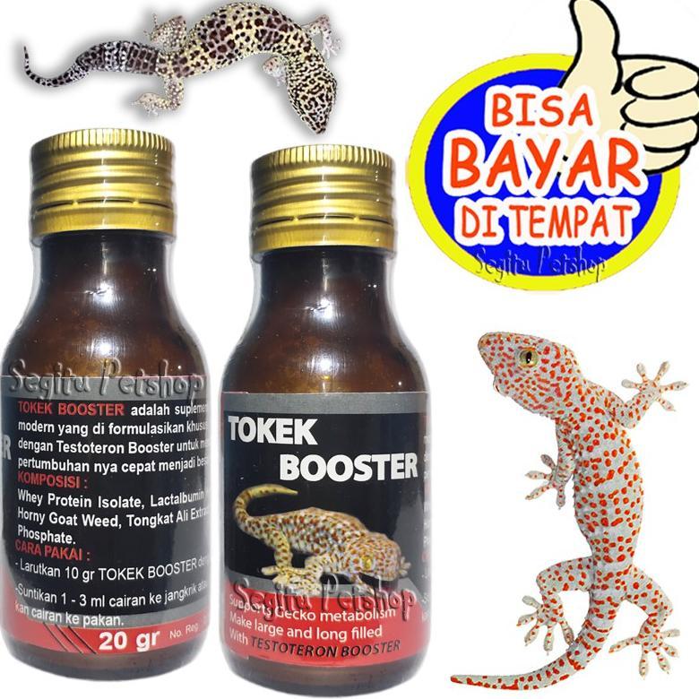 Vitamin Gecko Pertumbuhan Panjang Dan Besar Reptil Tokek Booster