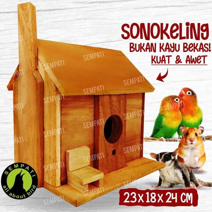 SEMPATI Glodok Kayu Kursi Desa Glodok Parkit Lovebird Sarang Telur Burung Susuh Sarang Ternak Breedi