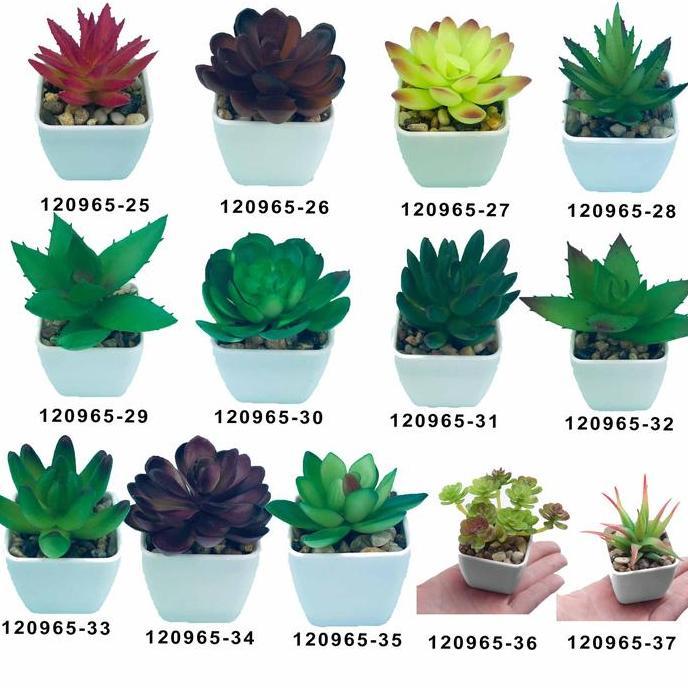 Promo Kaktus mini / Tanaman hias / Aneka macam kaktus / Tanaman plastik Hiasan COD