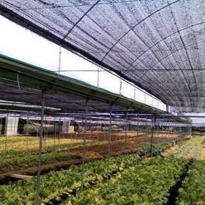 Bisa Cod Paranet 90% Lebar 4 Meter - Dekorasi Taman - Paranet Peneduh Anti Uv .,