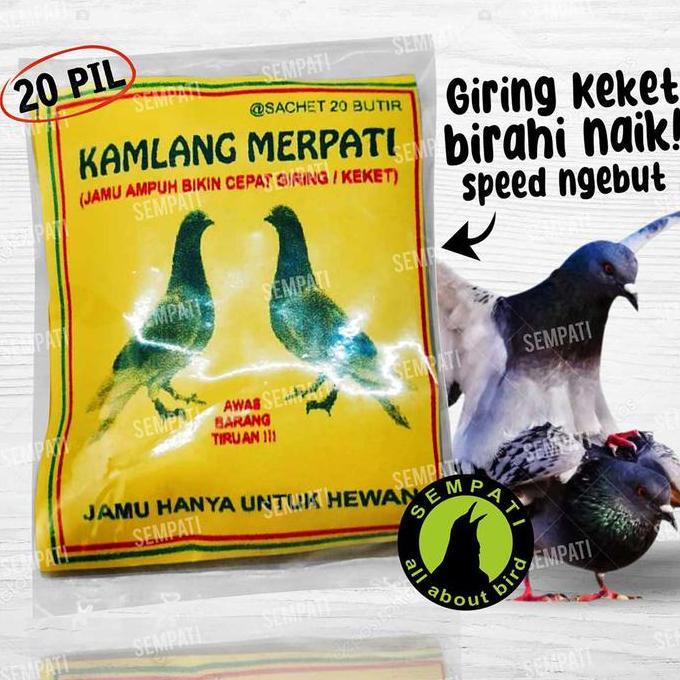SEMPATI Kamlang Merpati Jamu Cepat Giring Burung Merpati Balap Obat Jamu Cepat Keket Merpati Kolonga