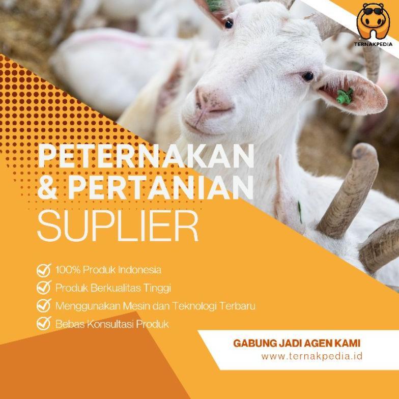 Anti Ambruk 100 Gram Suplemen Untuk Sapi Ambruk Obat Sapi Ambruk Demam 3 Hari Sapi Kambing Domba