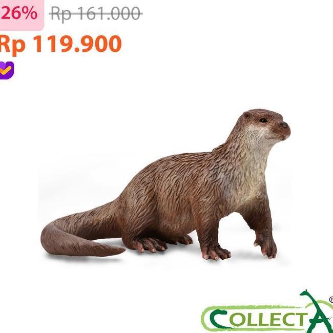 Collecta Common Otter Animal Fure Koleksi Mainan Pajangan Hh Quality 88941