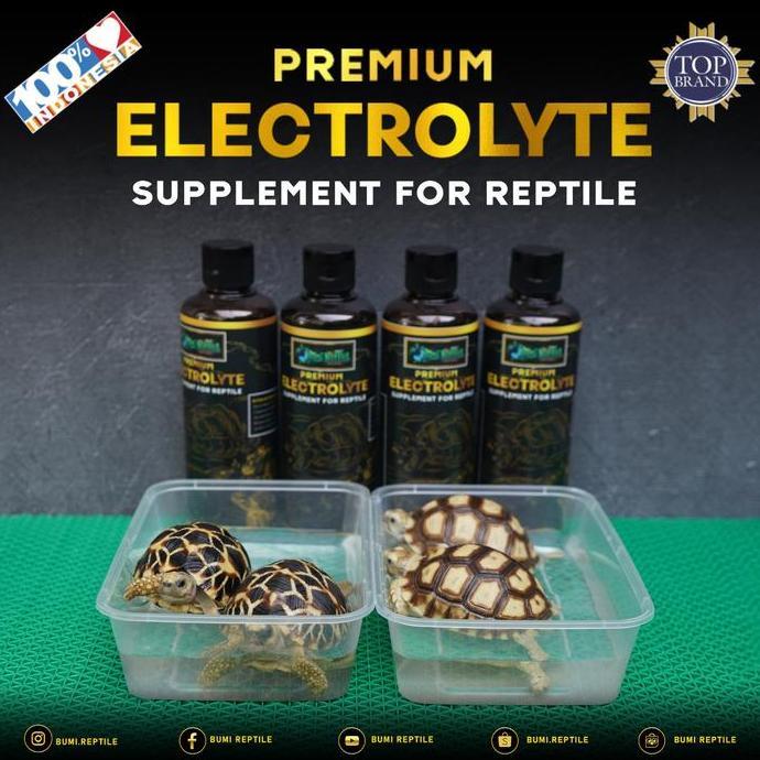 PREMIUM ELECTROLYTE SUPPLEMENT FOR REPTILE BY BUMI REPTILE