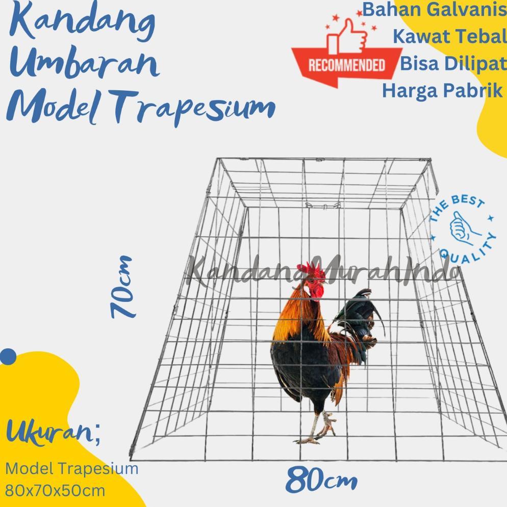 KANDANG AYAM MURAH / KURUNGAN AYAM MURAH / UMBARAN AYAM MURAH TIPE TRAPESIUM