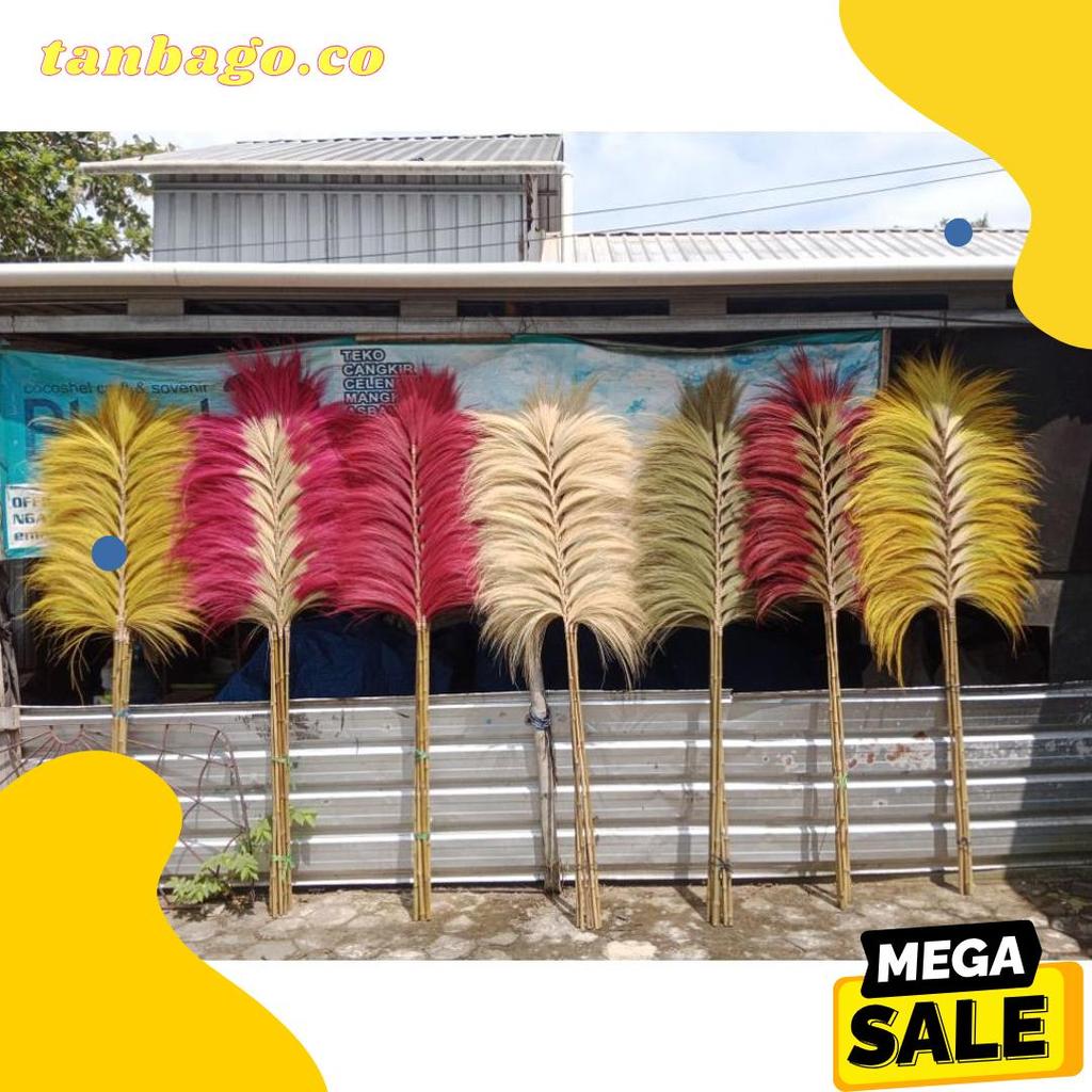 Lagi Diskon Nih Home Decor Rayung/Gratis Extra Packing/Stik Rumput Rayung/Home Decor Rayung Lebat