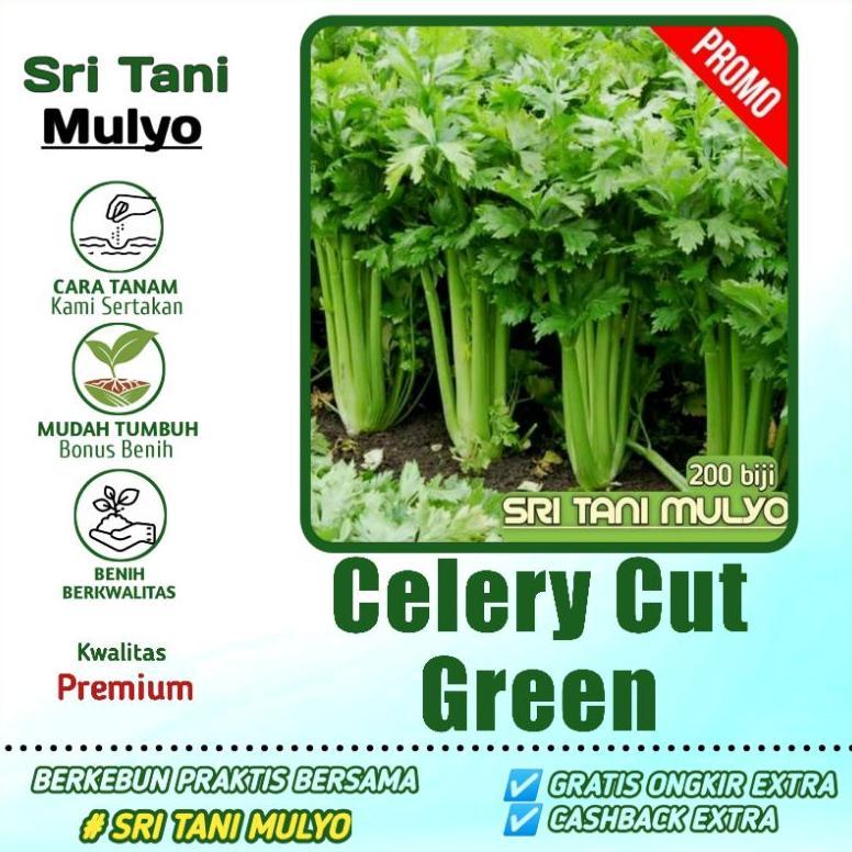 Bisa Cod Ya Kak 200 Biji - Benih Seledri Import / Celery Cut Green F1 - Bibit Sayuran - Benih Sayura
