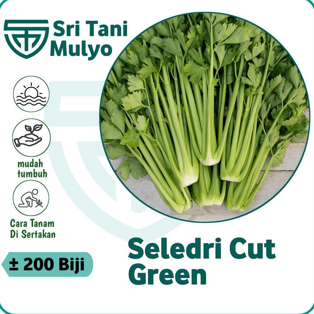 Bisa Cod Ya Kak 200 Biji - Benih Seledri Import / Celery Cut Green F1 - Bibit Sayuran - Benih Sayura