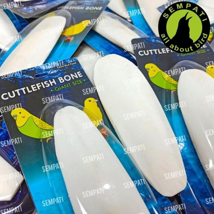 CUTTLEFISH BONE TULANG SOTONG ASINAN BURUNG CUMI SUPER JUMBO PREMIUM